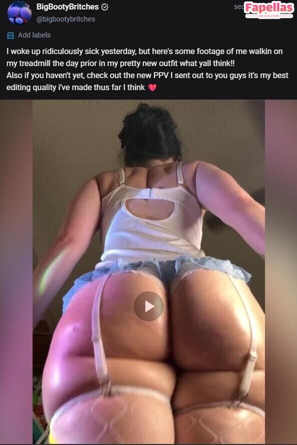 Bigbootybritches