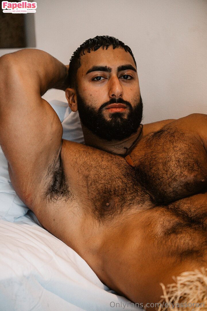 elyassorari