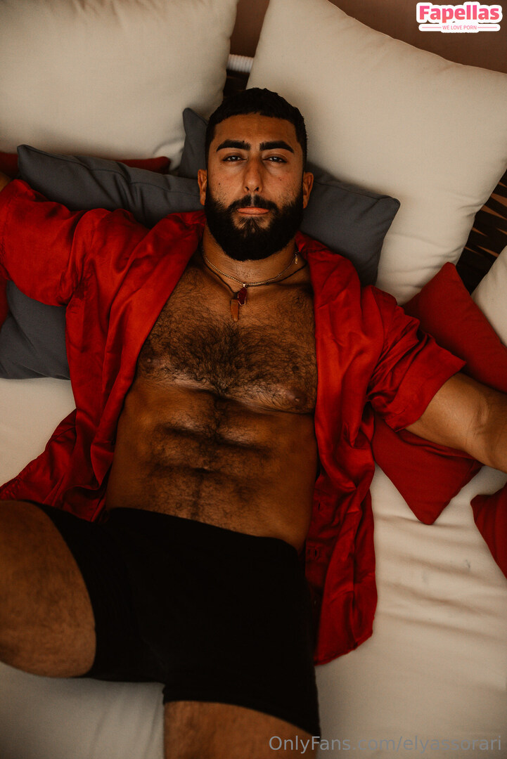 elyassorari
