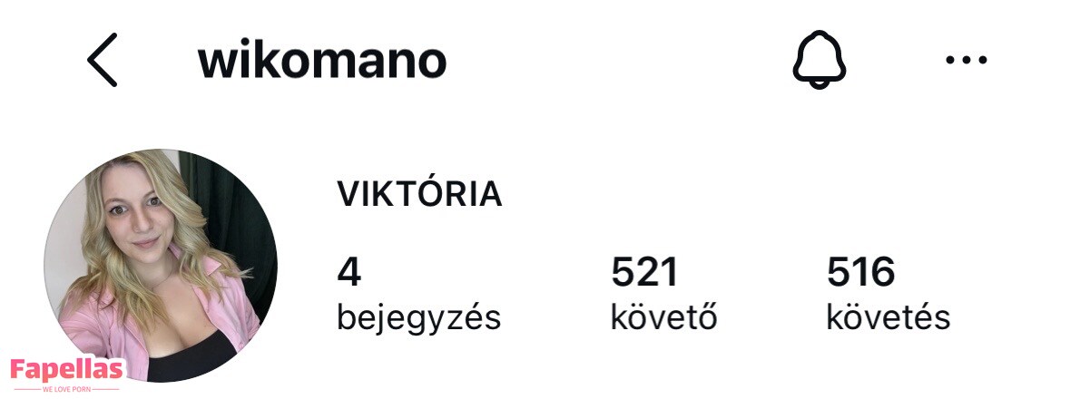 Fejér Megyei