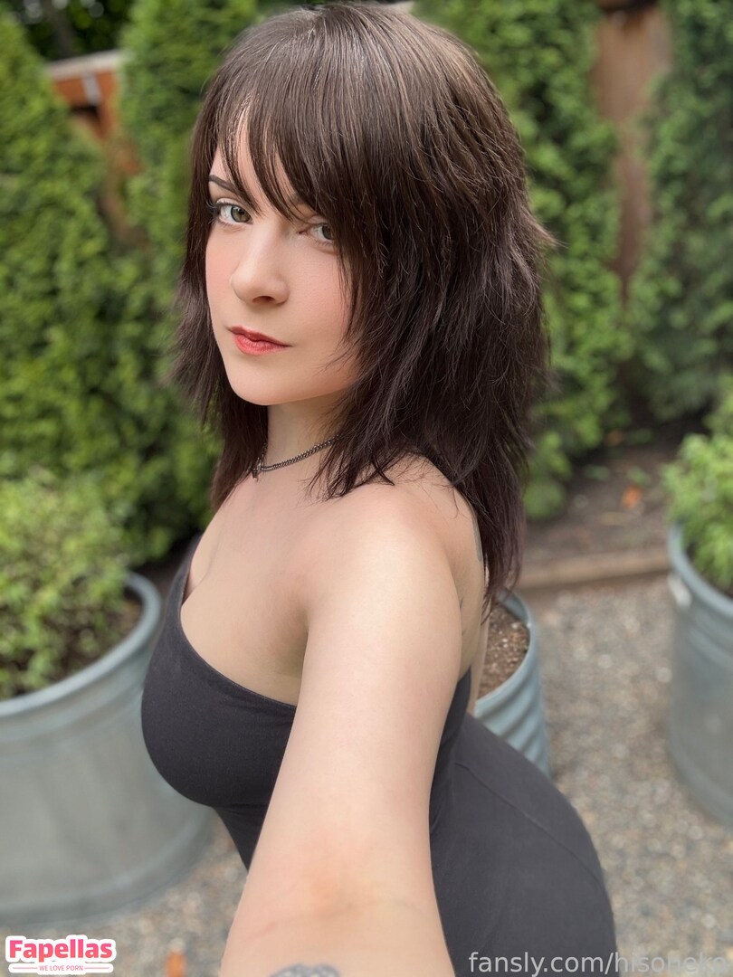 Hiso Neko