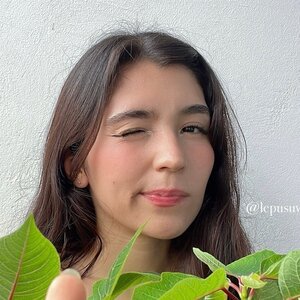 lepusuwu