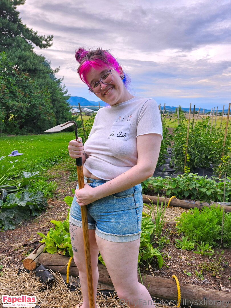 lillysxlibrary