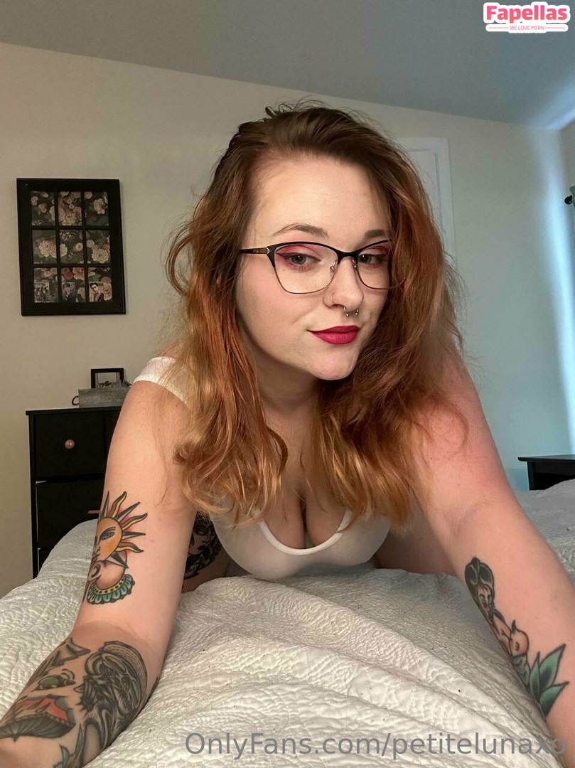 Petitelu
