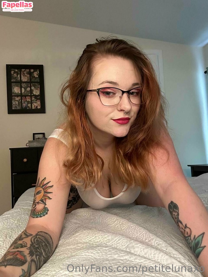 Petitelu
