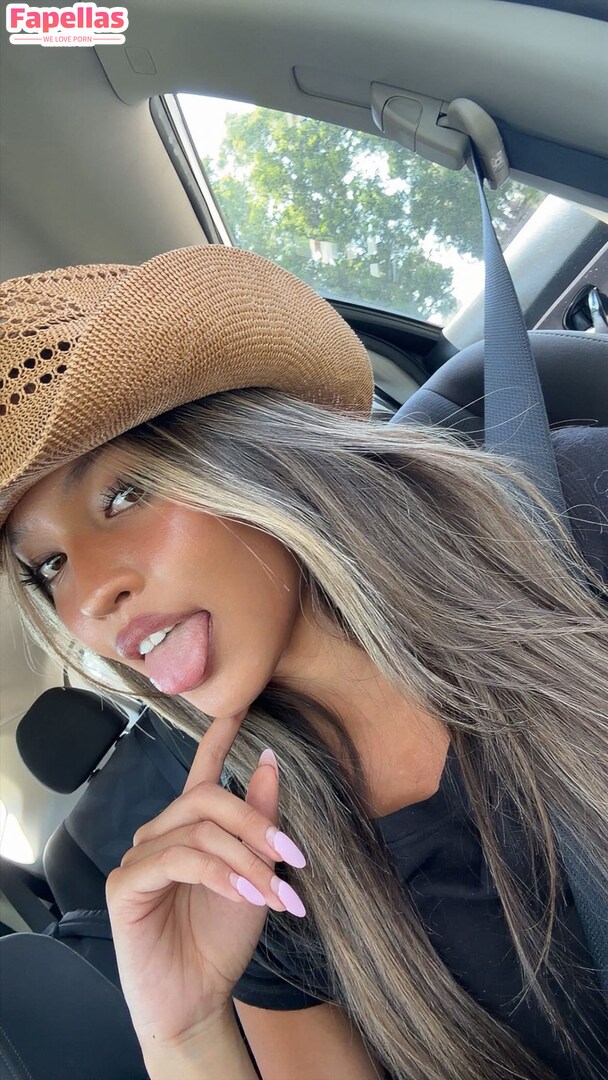 Savannah Toy