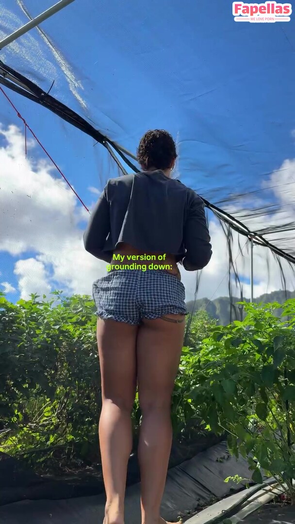 Soleyfaye
