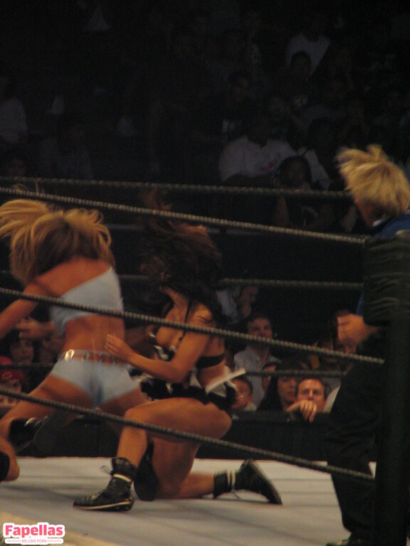 WWE Michelle McCool, mimicalacool Nude Leaks  Photo #22